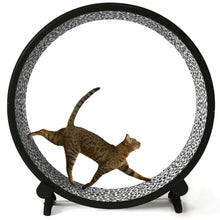 Load image into Gallery viewer, One Fast Cat Wheel   NOW $420 Sale