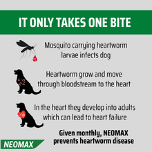 Load image into Gallery viewer, NEOMAX All wormer tablets for dogs over 5kg  (2 tablets)