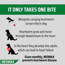 Load image into Gallery viewer, NEOMAX Allwormer Tablets for small dogs &amp; puppies  (2 Tablets)