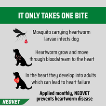 Load image into Gallery viewer, NEOVET for Dogs 10-25kg  (6pk)