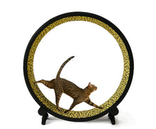 Load image into Gallery viewer, One Fast Cat Wheel  sale $495.00 plus shipping.