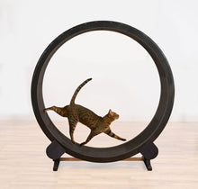 Load image into Gallery viewer, One Fast Cat Wheel   Was $510.00 NOW $459 plus shipping selling fast